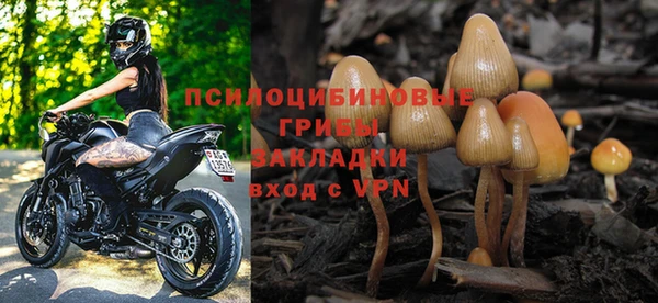 стафф Белокуриха